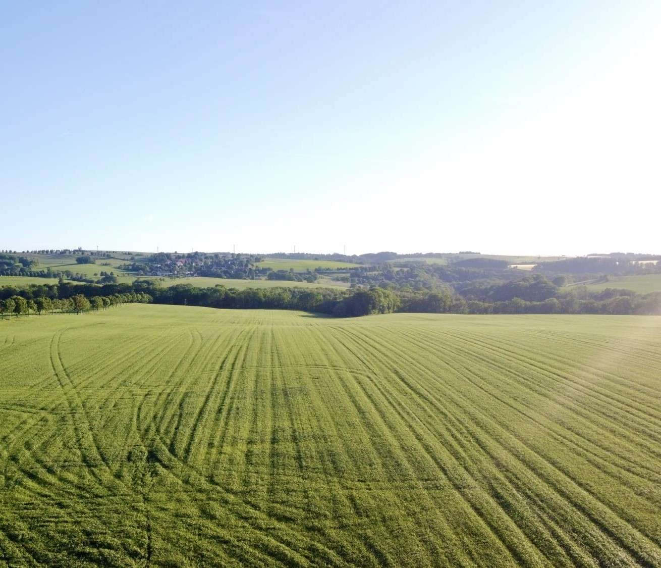Luftaufnahme des zuk&uuml;nftigen Wohngebiets Fernblick H&ouml;ckendorf, gr&uuml;ne Felder und Waldrand